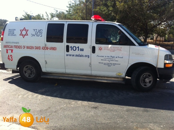 accshlafem5514 (2).jpg